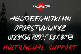 Tigbrush - Natural Brush Font