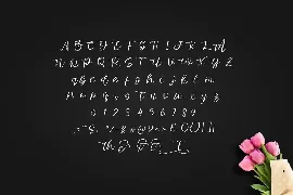 Sedeiteia Font