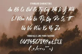 The Raster font