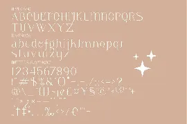 Meliska Minimalist Serif Font