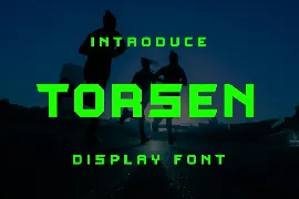 Torsen Font