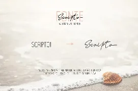 Scripto Fonte Font Duo