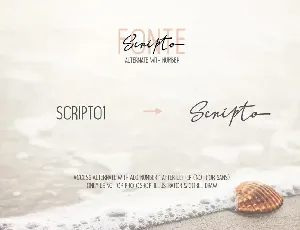 Scripto Fonte Font Duo