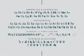 Varking Font