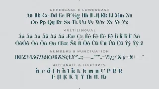 Varking Font