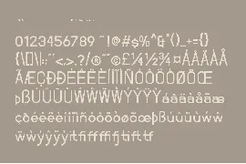 Minimalist Sans Serif Font