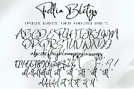 Fellin Blettys font