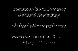 Allexis Signature font