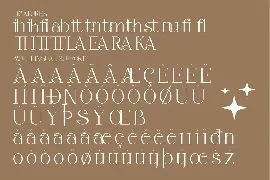 Alika Minimalist Serif Font