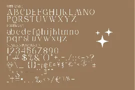 Alika Minimalist Serif Font