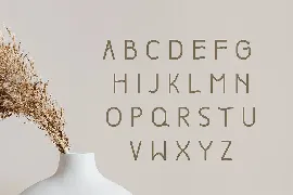 Boho Unique Display Font