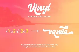 Vinyl Script font