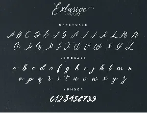 Exclusive Script Font