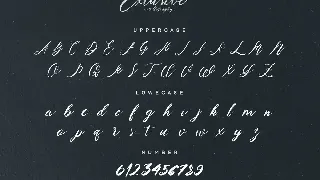 Exclusive Script Font