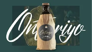 Quinttonio | Modern Script Font