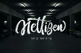 Nettizen - Modern Script font