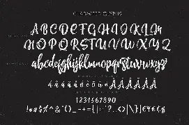 Nettizen - Modern Script font