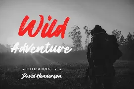 Wild Youth - Brush Font