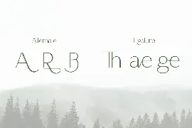 Thin Serif Unique Display Font