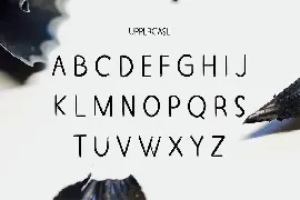 Decorative Unique modern Display Font