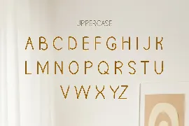 Unique Hand Written Modern Display Font