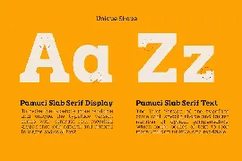 Pamuci - Modern Slab Serif Typeface font