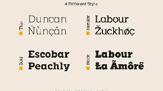 Pamuci - Modern Slab Serif Typeface font