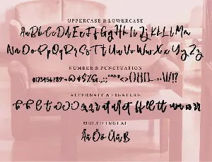 Fellami | A Stylish Script Font