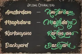 The Backyard Script - Unique Retro Font