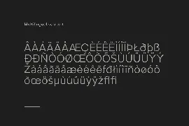 Holversan font