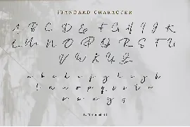 Katagami Signature - Handwritten Font