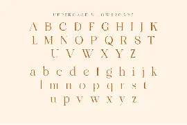 Wondershine font