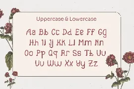 Ttrocse - Vintage Display Font