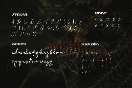 Rintang - Signature Handdwritten font