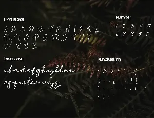 Rintang - Signature Handdwritten font