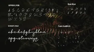 Rintang - Signature Handdwritten font