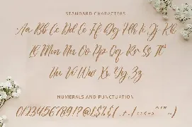 Aulietta - Elegant Script Font