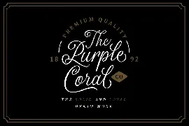 The Majority Script font