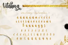 Vilanova - Swash Calligraphy Font