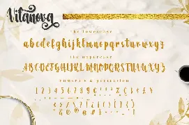 Vilanova - Swash Calligraphy Font