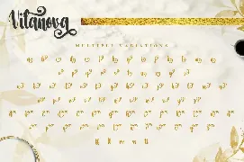 Vilanova - Swash Calligraphy Font