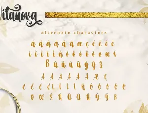 Vilanova - Swash Calligraphy Font