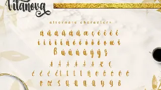 Vilanova - Swash Calligraphy Font