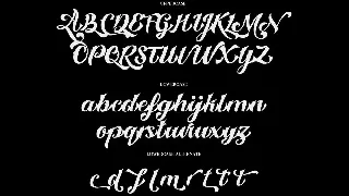 Custody Script - Tattoo Font