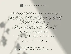 Miss Wailsey font