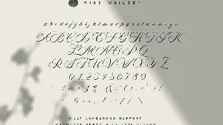 Miss Wailsey font