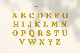 Regards - Modern Retro Serif font