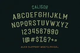 CALIGOR - Display Typeface font