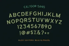 CALIGOR - Display Typeface font