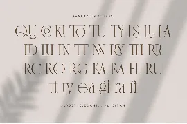 Banery - Modern Serif font